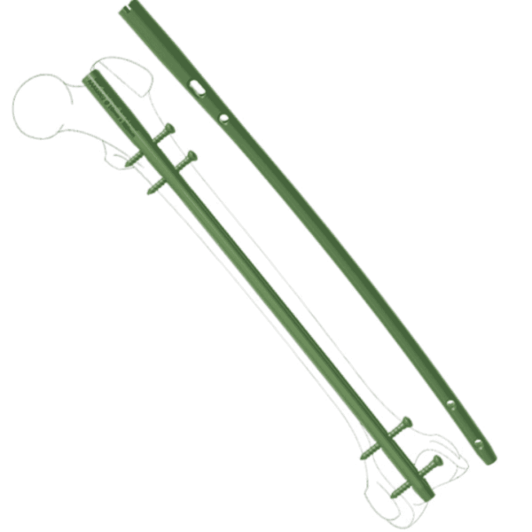 ILN Femur