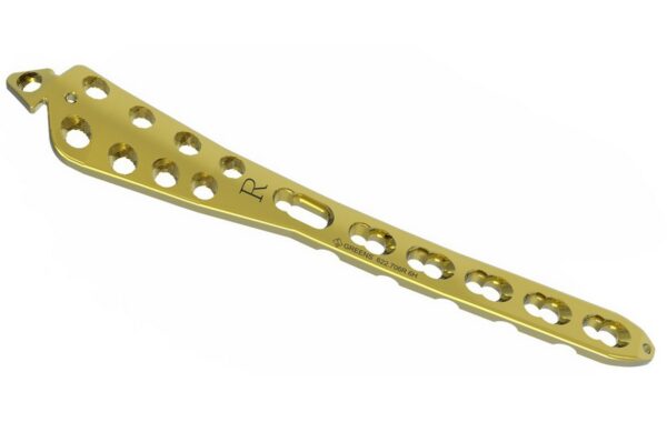 Distal Tibia Plate