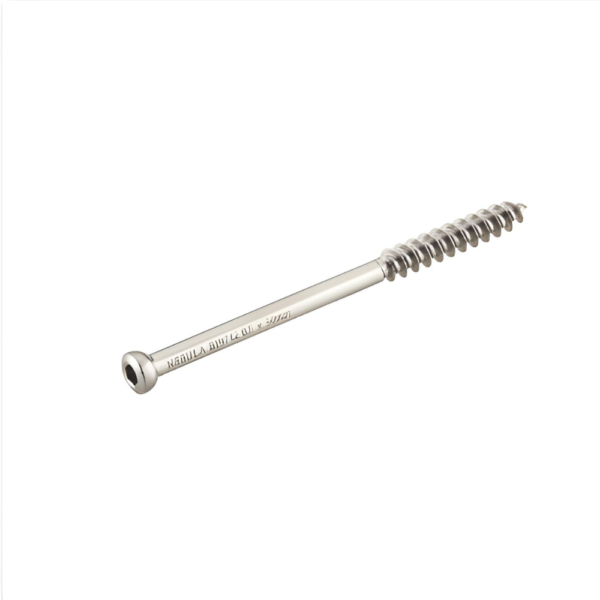 Cancellus 6.5 mm Screw